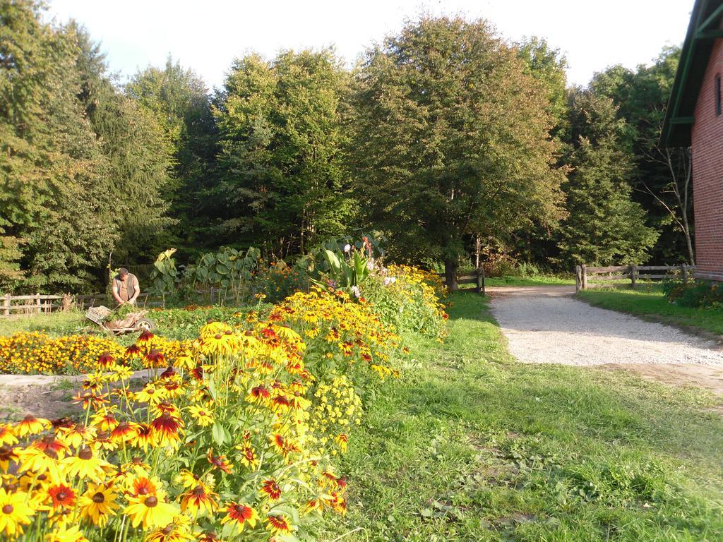 Villa Gajówka Węgorzewo Exterior foto